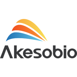 Akeso logo