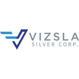 Vizsla Silver logo