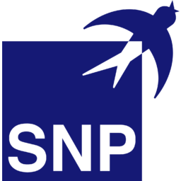 SNP Schneider-Neureither & Partner logo