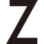 Z Holdings Logo