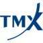 TMX Group Logo