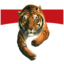 Tiger Brands Logo