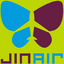 Jin Air Logo