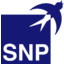 snp-schneider-neureither-partner logo