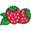 Strawberry Fields REIT Logo