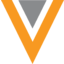 veeva-systems logo