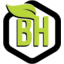 Bakhu Holdings Logo